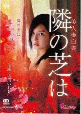 龙猫